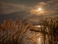 Stimmung am See1