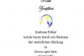 GOTTWALD - DIVINE LIGHT Reiki